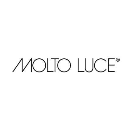 Geiger Automation Partner Logo Molto Luce